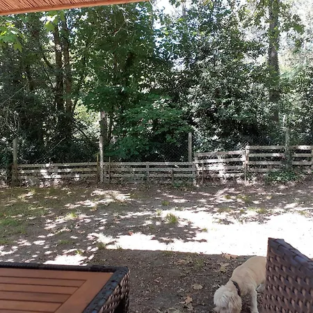 chalet à Onesse et Laharie * Onesse-et-Laharie